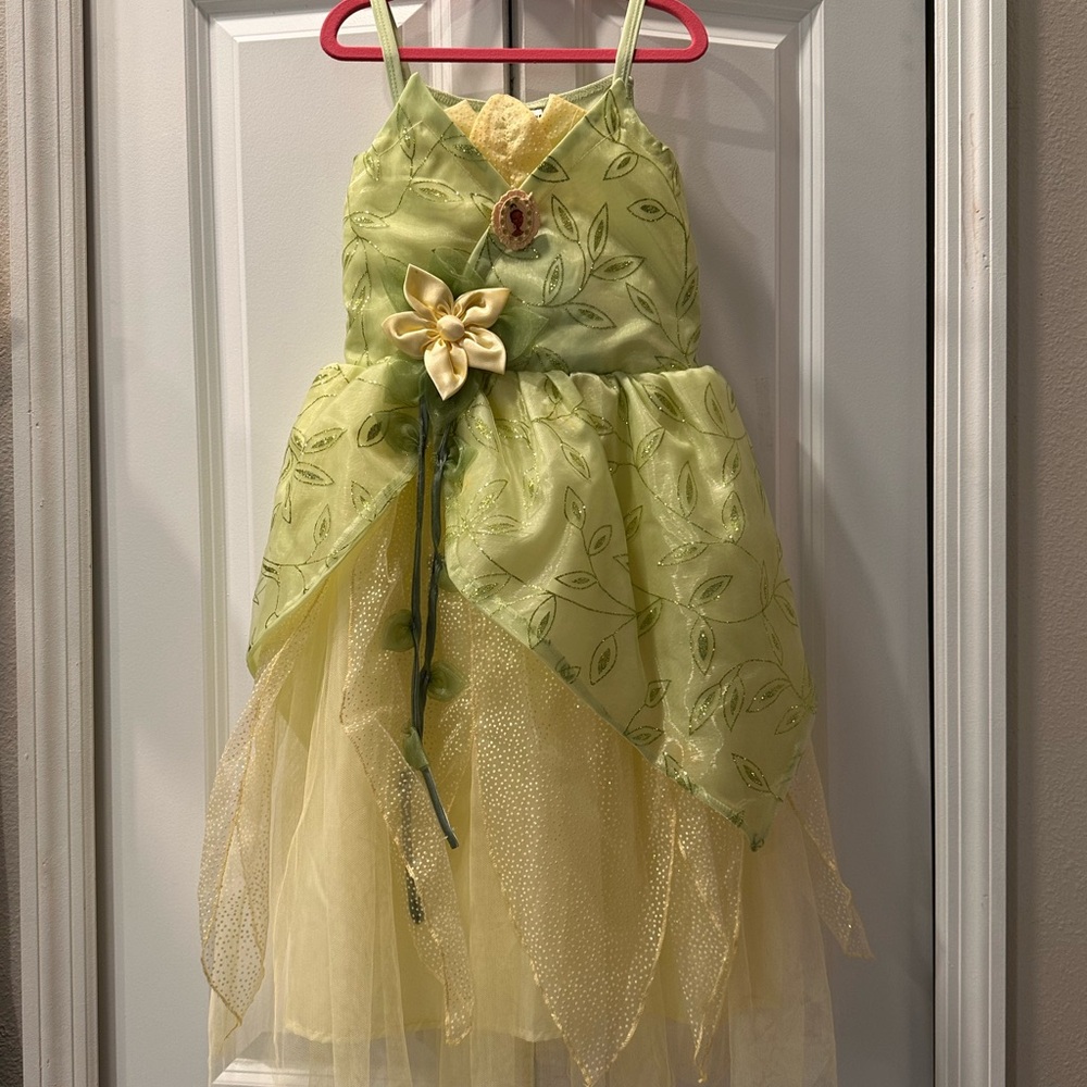 Disney Parks Tiana Costume in Green and Yellow